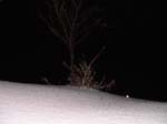 DSC00230