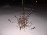DSC00235