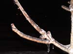 DSC00249